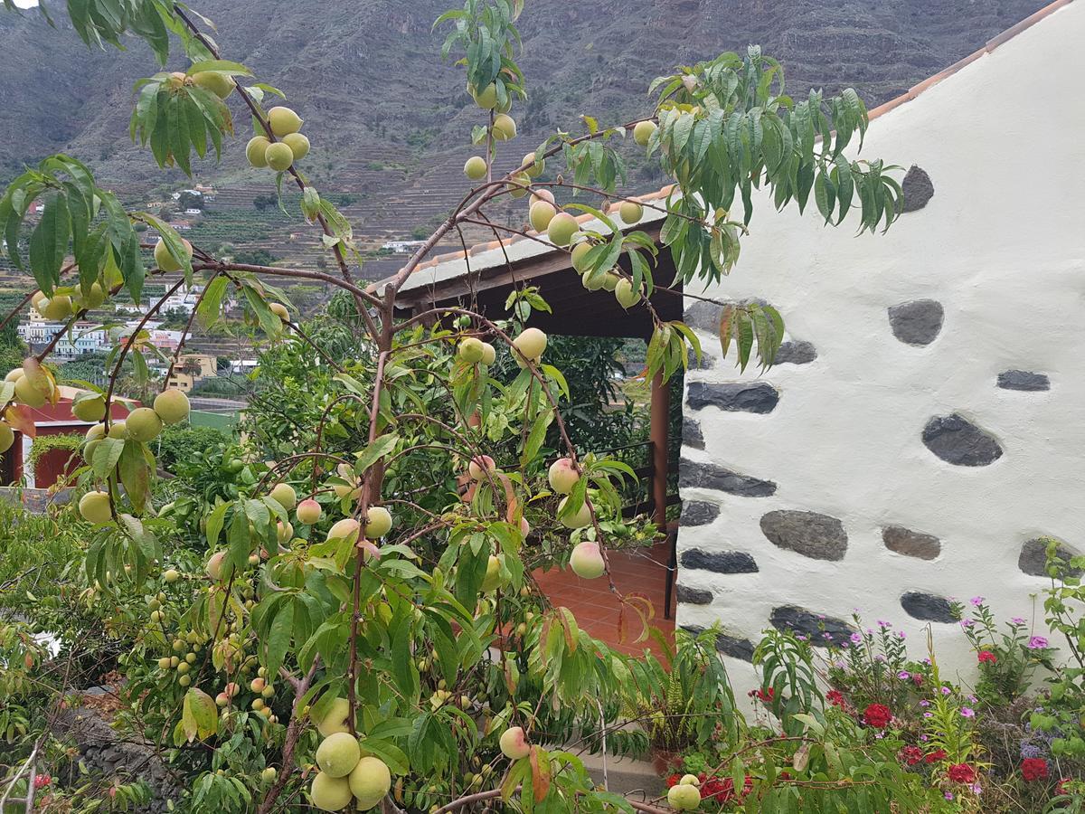 Casa Rural Nuevitas I Hermigua Exterior foto